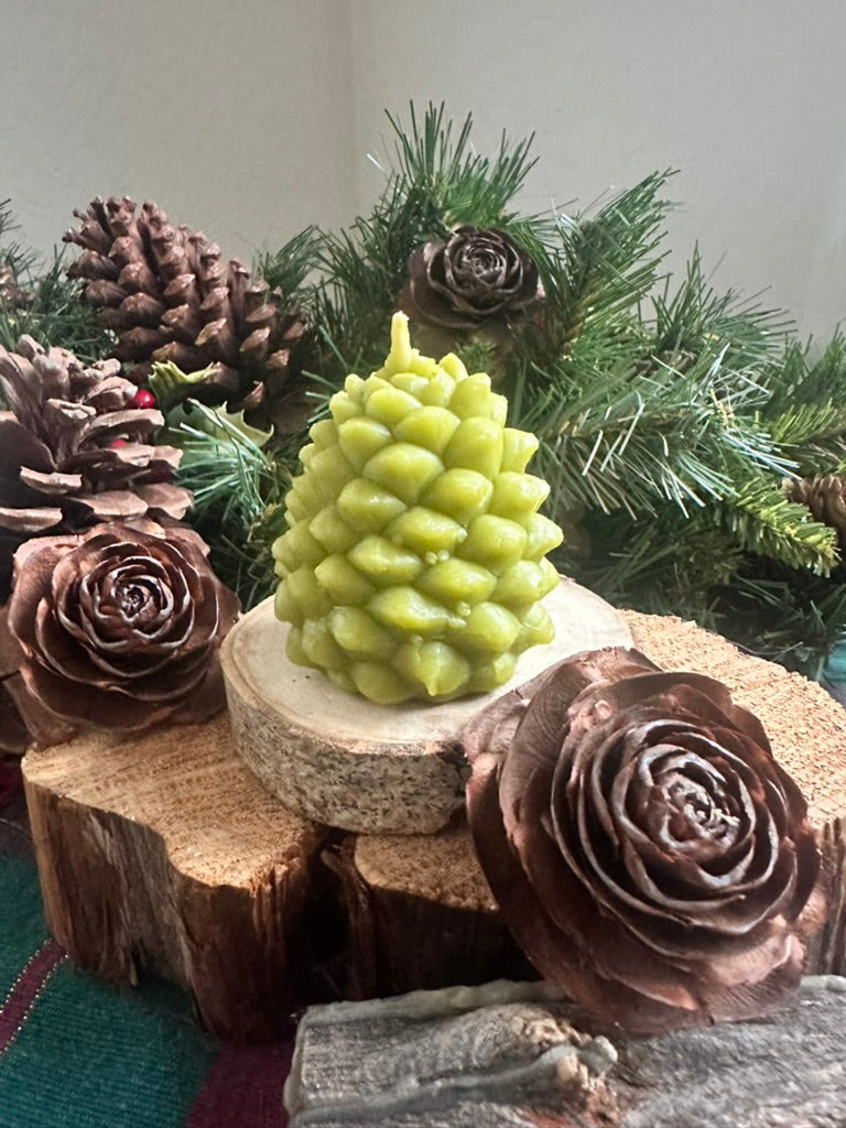 Large Pine Cone