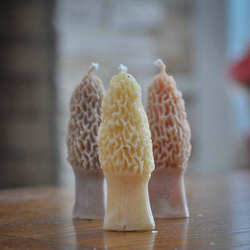 Morel