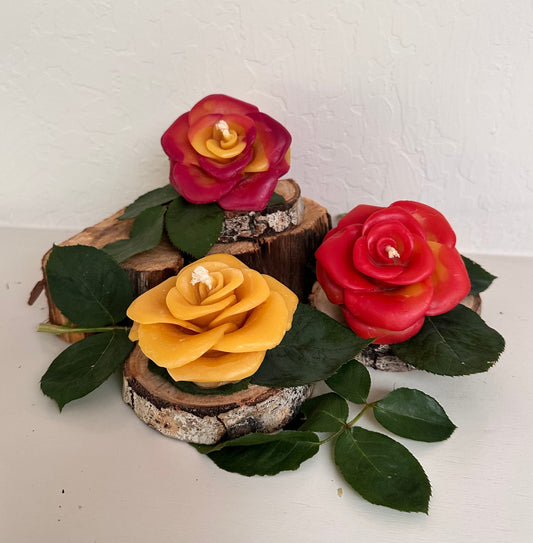 Rose Flower