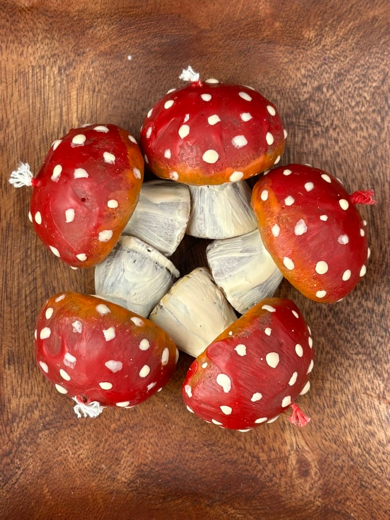 Amanita mushrooms
