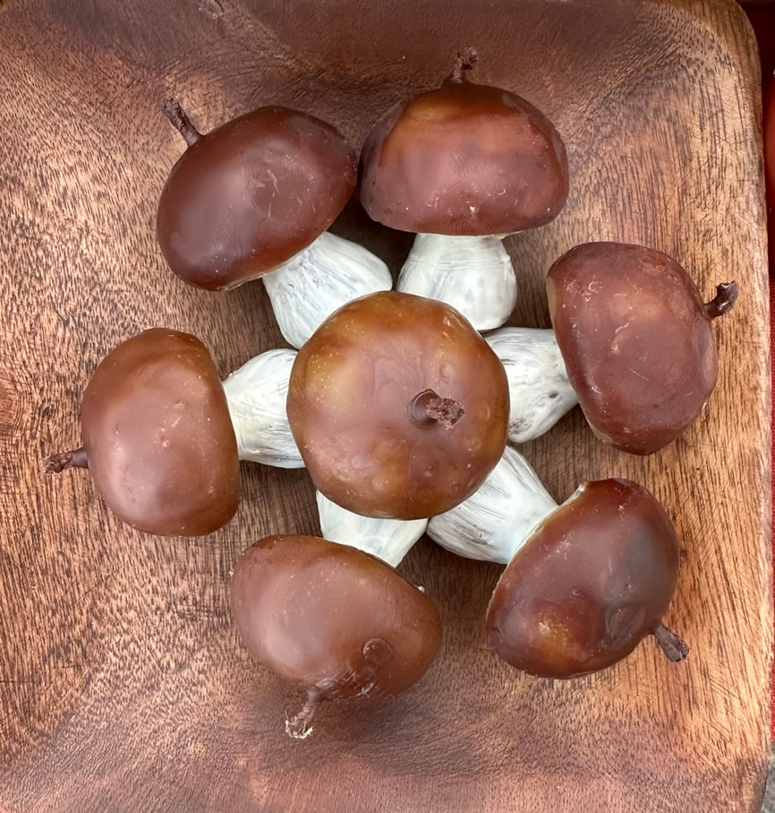 Bolete Mushrooms