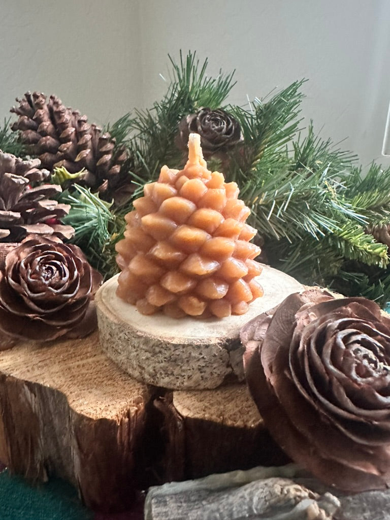 Large Pine Cone