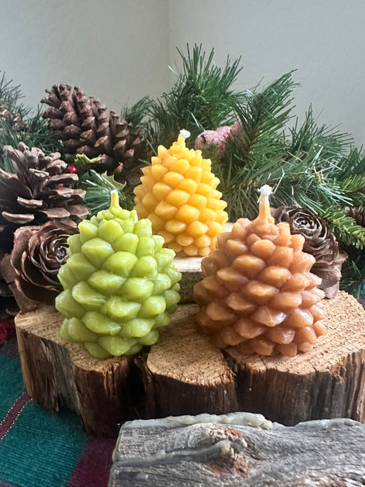 Large Pine Cone