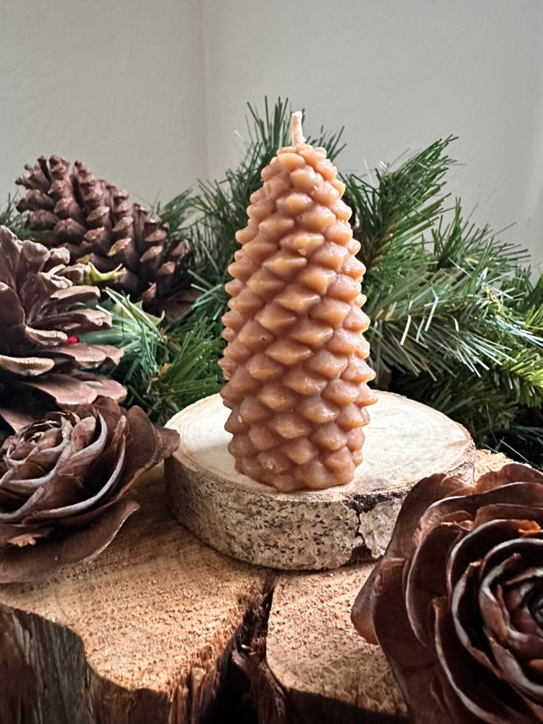 Medium Pine Cone