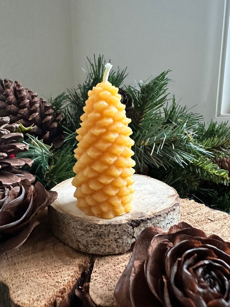 Medium Pine Cone