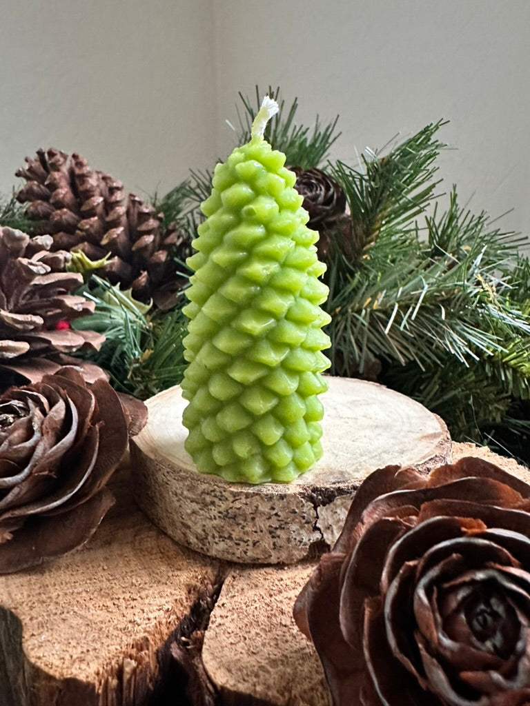 Medium Pine Cone