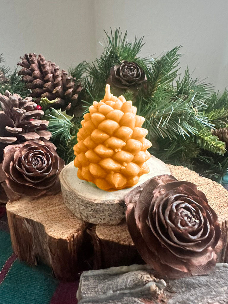 Large Pine Cone