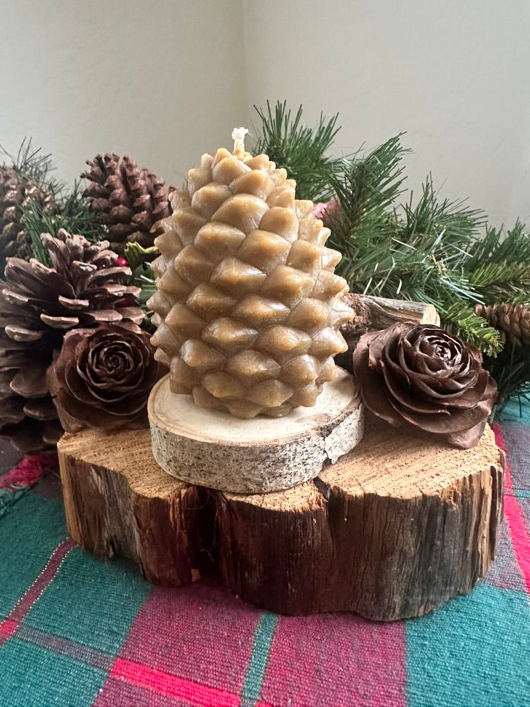Giant Pine Cone