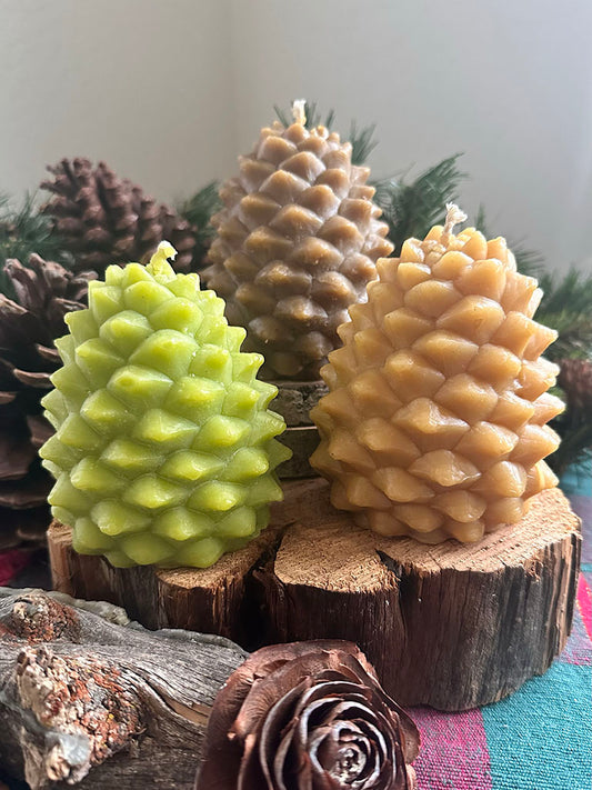 Giant Pine Cone