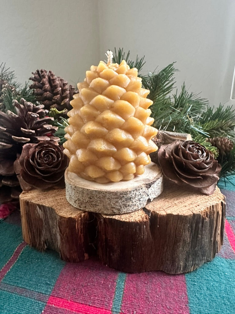 Giant Pine Cone