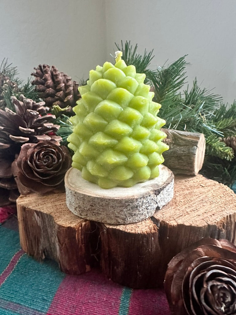 Giant Pine Cone
