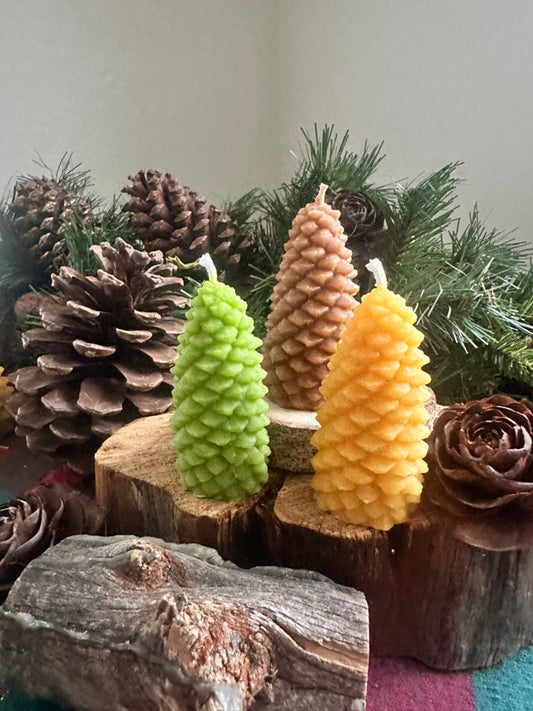 Medium Pine Cone