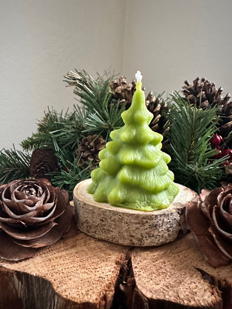 Pine Trees