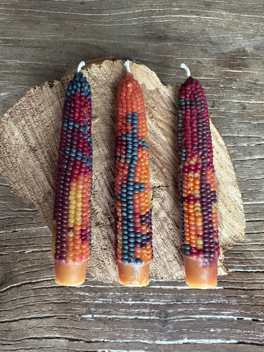 Native Corn Small