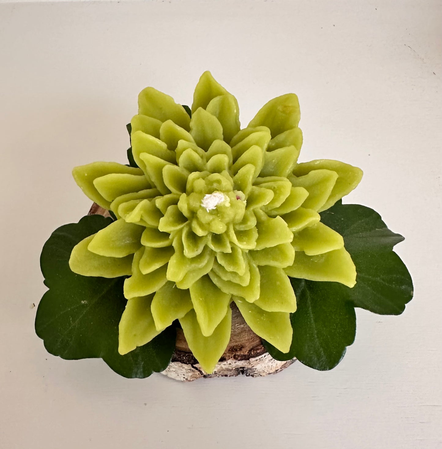Lotus Flower