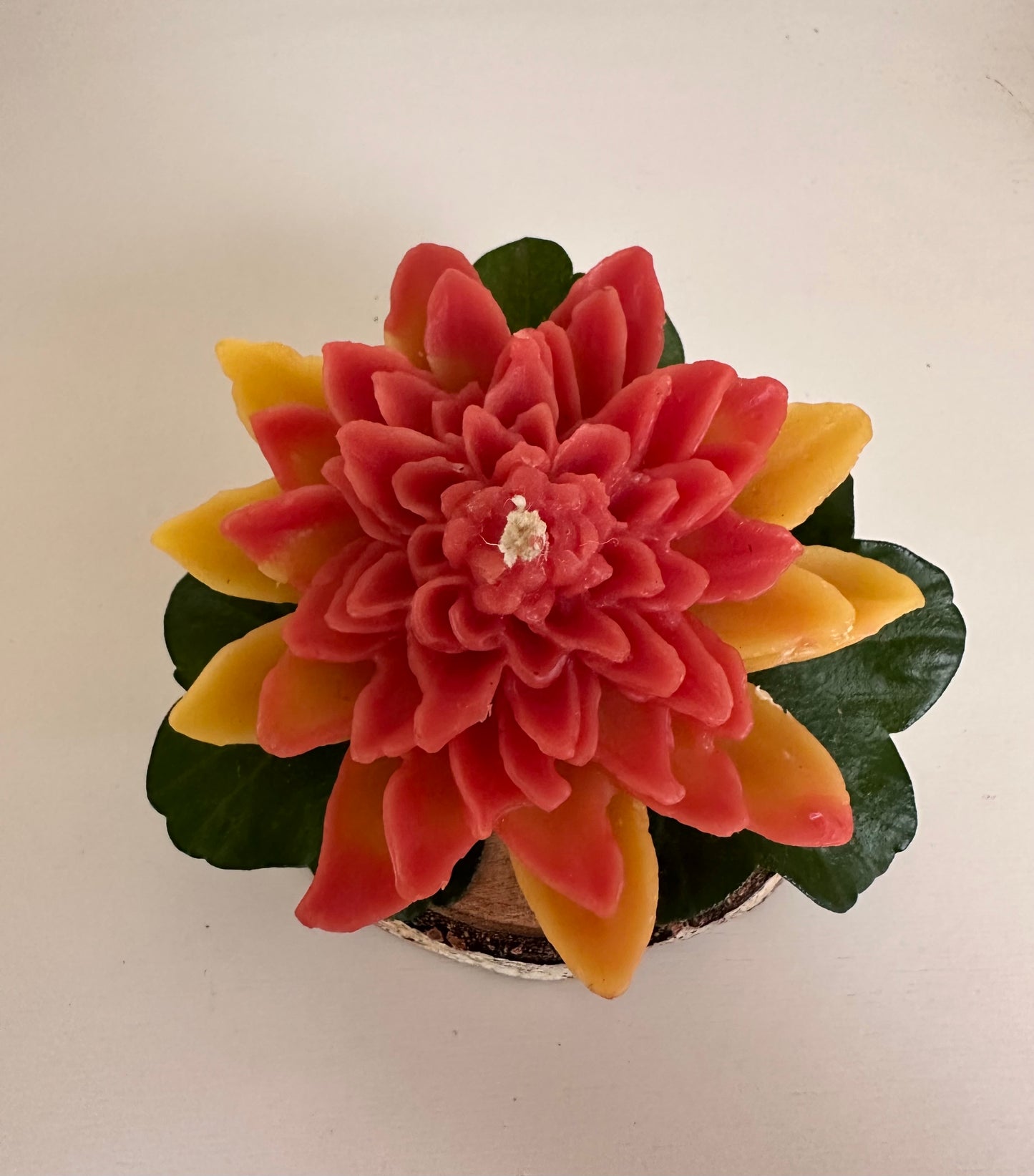 Lotus Flower