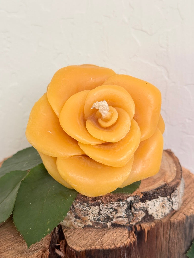 Rose Flower