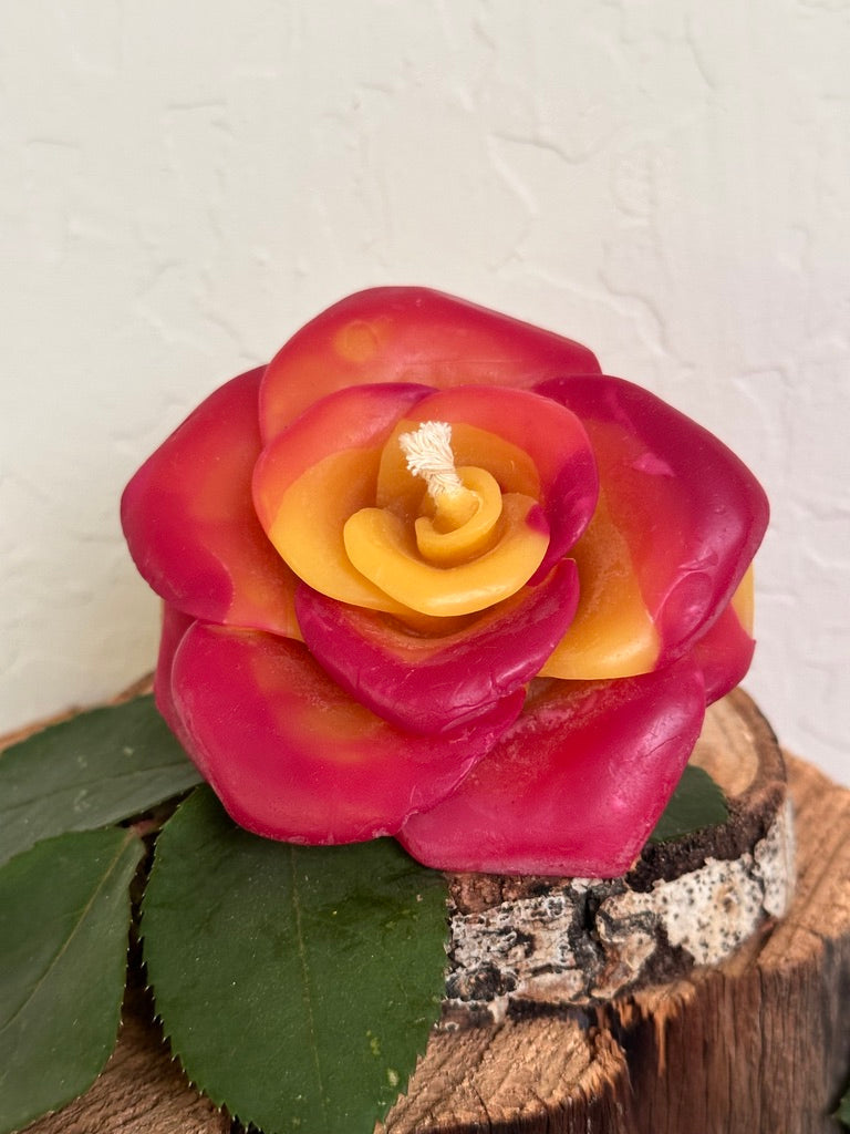 Rose Flower