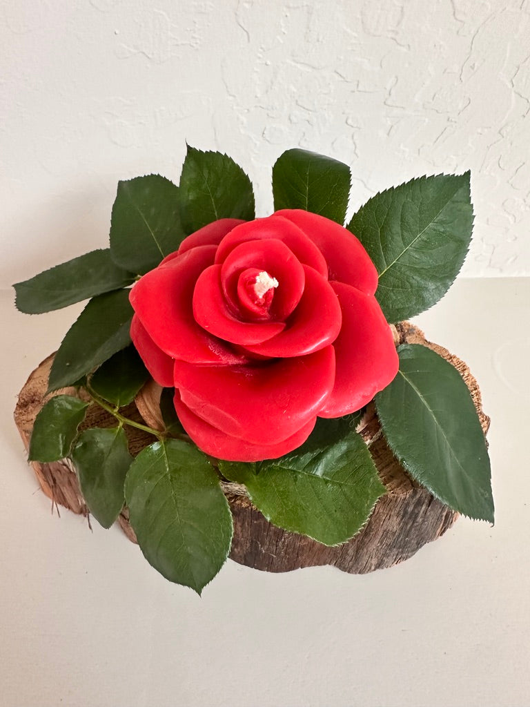 Rose Flower