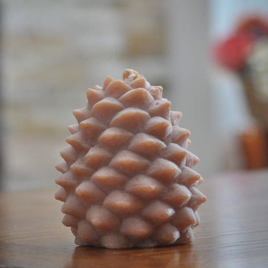 Giant Pine Cone